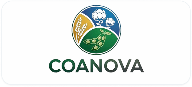 Background+Border+Shadow